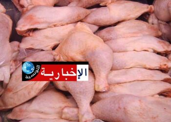 هل تسجل أسعار الدواجن انخفاضا..؟