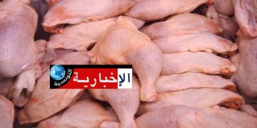 هل تسجل أسعار الدواجن انخفاضا..؟