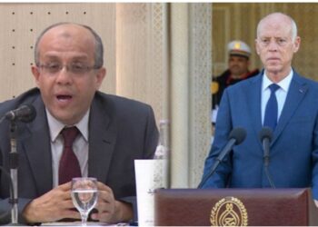 نوفل سعيد: حصول قيس سعيّد على هذه النتيجة كان متوقعا