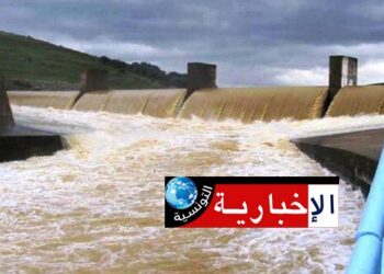 الأمطار الأخيرة وفرت 9.6 مليون متر مكعب من المياه بسدود وبحيرات هذه الولاية