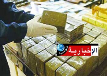 (مفزع)- حجز 1 طن من القنب الهندي و540 ألف قرص مخدر خلال هذه الفترة..