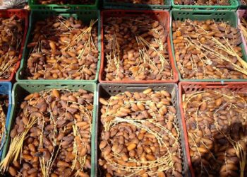 وزارة الفلاحة تعلن عن أسعار التمور لهذا الموسم