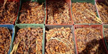 وزارة الفلاحة تعلن عن أسعار التمور لهذا الموسم