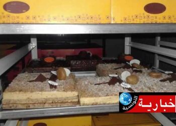 (بمناسبة رأس السنة)- حملة أمنية بأريانة تُسفر عن غلق مخبزة وحجز منتجات فاسدة..