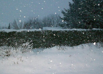 تساقط الثلوج بهذه الولاية..