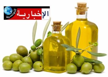 برنامج ترويجي لزيت الزيتون المعلب..