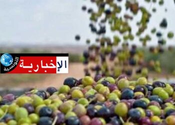 اثر جلسة عمل: هذا ما تم الاتفاق عليه لانجاح موسم جني الزيتون..