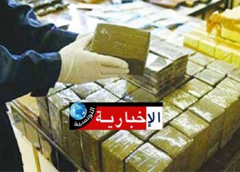 حجز صفائح من “الزطلة” في منول مروّج مخدرات بهذه الجهة..