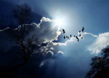 غدا..بداية فترة “الليالي السود”..