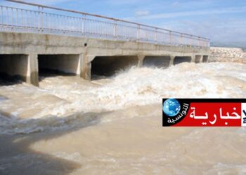 تحسن مخزون السدود..
