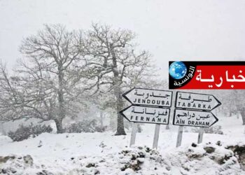 (نزول الثلوج بسليانة والكاف والقصرين)-مرصد سلامة المرور يدعو إلى توخّي الحذر..