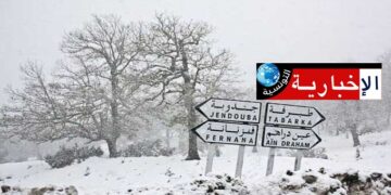 (نزول الثلوج بسليانة والكاف والقصرين)-مرصد سلامة المرور يدعو إلى توخّي الحذر..