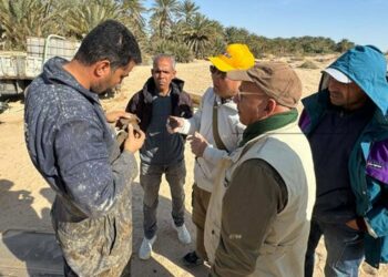 اكتشافات أثرية جديدة تعود إلى فترات ما قبل التاريخ