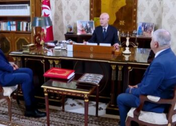 قيس سعيّد: يجب الاستعداد لتخزين صابة الحبوب حتى لا يأكلها الطير..