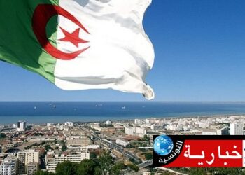 الجزائر تعلـن رسميا عن موقفها من تهجير أهالي غزّة..