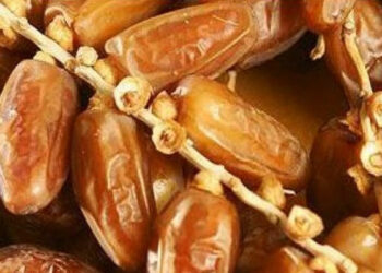 (استعدادا لرمضان)- تركيز 6 خيام لبيع التمور من المنتج إلى المستهلك بهذه المناطق..