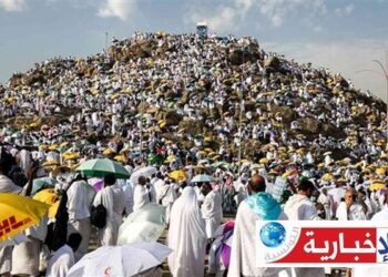 وزير الشؤون الدينية يكشف سبب ارتفاع تكلفة الحج لهذا العام..