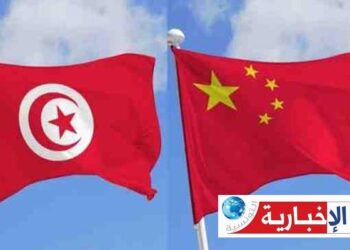 الصين تؤكّد استعدادها لتنفيذ مشاريع كبرى في تونس..
