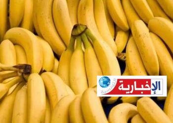 حجز 350 كغ من الموز يتم بيعها بأسعار باهظة..