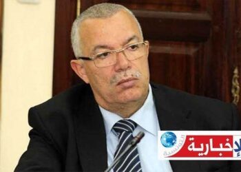 هذا ما قرره القضاء في حق نور الدين البحيري..