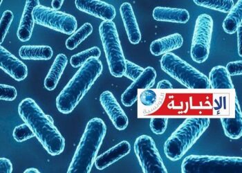 (يختبئ في أطعمتنا)- وزارة الصحة تحذّر من هذا “العدو الصامت”..