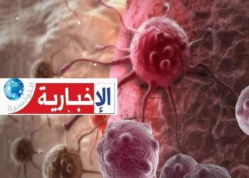 تزيد خطر الإصابة بالسرطان: مسؤولة بوزارة الصحة تُحذّر من اقتناء هذه المواد..