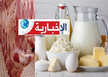 وزارة التجارة تتخذ اجراء هام بهدف دعم منظومات الإنتاج الوطني للدواجن والألبان واللحوم الحمراء..