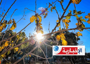 هكذا سيكون طقس اليوم الاربعاء..