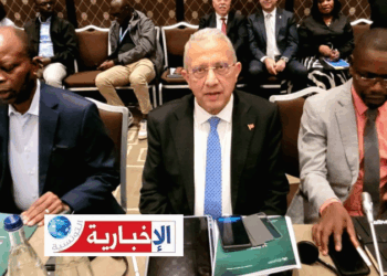 وزير الصحة يقترح إنشاء صندوق إفريقي للتضامن الصحي..