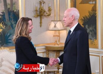 ماذا في لقاء رئيس الجمهورية بالمديرة العامة للمنظمة الدولية للهجرة…