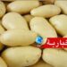 (بعد نقصها وارتفاع أسعارها)- بشرى سارة بخصوص مادة البطاطا..