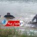 انتشال جثة شاب من قنال مجردة..