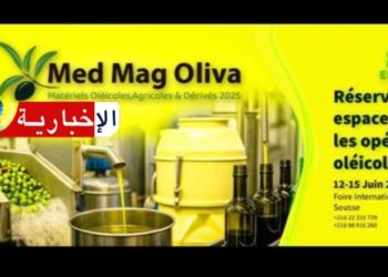 “من سوسة إلى العالم: تونس تروّج لزيت الزيتون عبر الابتكار والتعاون الدولي”