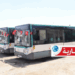 (قبلي)- تعزيز أسطول النقل العمومي بـ6 حافلات..