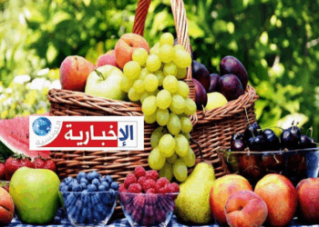 ارتفاع صابة الغلال الصيفية ذات النوى في 2025..