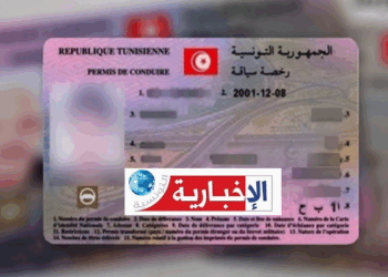 (بشرى سارة)- هذه الدولة تعترف رسميا برخص السياقة التونسية..وهذه التفاصيل..