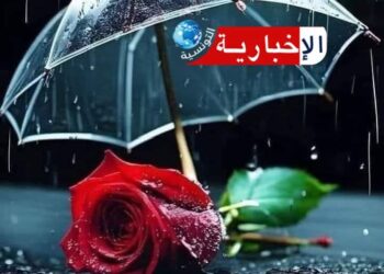 طقس اليوم ممطر..