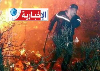 حريق ضخم يلتهم 27 هكتارا من الحبوب والحصيدة في البطان..