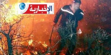 حريق ضخم يلتهم 27 هكتارا من الحبوب والحصيدة في البطان..