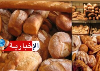 وزارة التجارة: خبر الألياف يتطلّب خطّة..