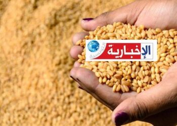 التمديد مجدّدا في منحة تسليم الشعير الى حدود هذا الأجل..