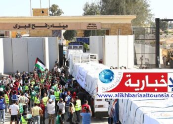 مصر تعلن دخول 117 شاحنة مساعدات الى غزة..