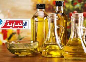 ديوان الأراضي الدولية يبشر بموسم زيت زيتون واعد في هذه الولاية..