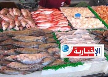 هكذا أثّرت الأحوال الجوية على إنتاج الأسماك وأسعارها..