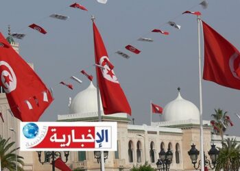 (بالأرقام)- أكثر من نصف التونسيين المقيمين من بالخارج لا يفكّرون في العودة..