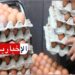 غرفة تجار الدواجن تدعُو وزارة التجارة للتدخّل لضبط هوامش الربح بالنسبة للبيض..
