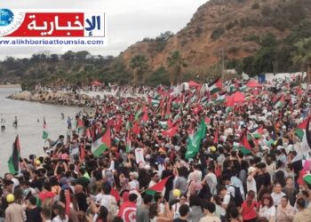 (“إرادة الشعوب لا تهزم”) 1000 مشارك في “أسطول الصمود” البحري يتحدون الحصار ..