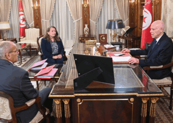 قيس سعيّد يُسدي تعليماته بتوجيه فريق مشترك إلى المجمع الكيميائي بقابس..