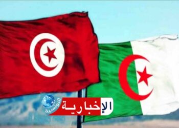 الجزائر: التحديات الحالية تفرض تعزيز العمل المشترك مع تونس