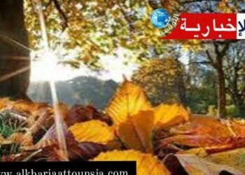 حرارة تفوق 31 درجة في أكتوبر؟ الأجواء الربيعية تعود هذا الأسبوع!